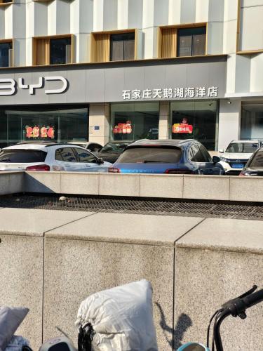比亚迪汽车海洋网(石家庄天鹅湖海洋展厅)