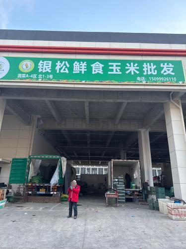 银松鲜食玉米批发