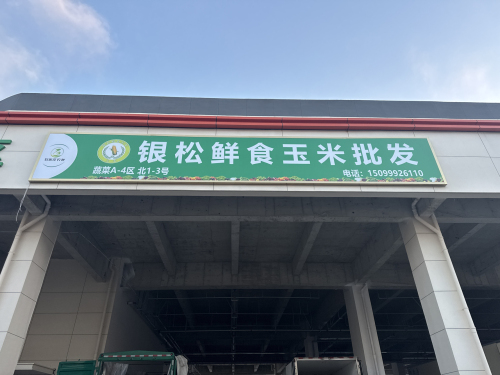 银松鲜食玉米批发