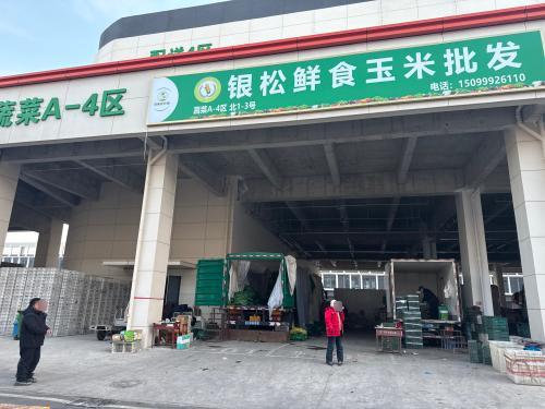 银松鲜食玉米批发