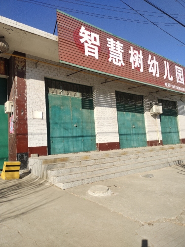 智慧树幼儿园(固城店)