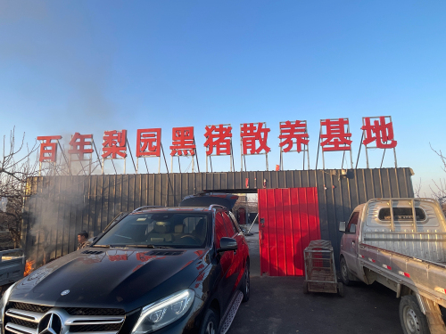 百年梨园黑猪散养基地