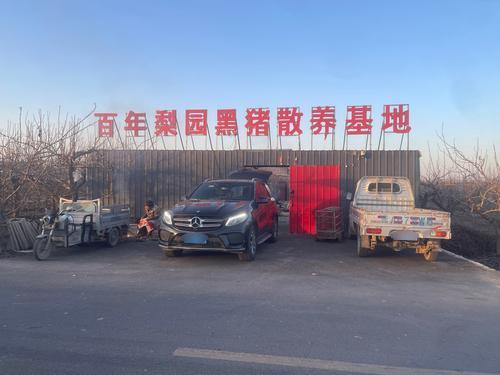 百年梨园黑猪散养基地