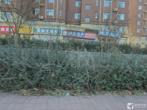 灵泽大药房