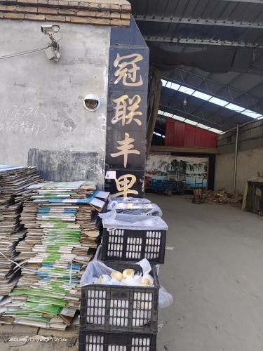 冠联丰果业