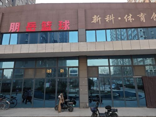 朋岳篮球