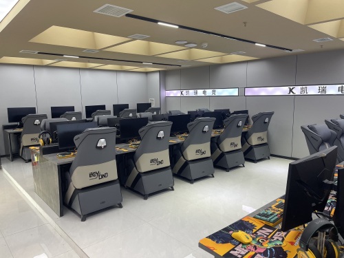 凯瑞电竞ANTGAMER(西部峰景店)