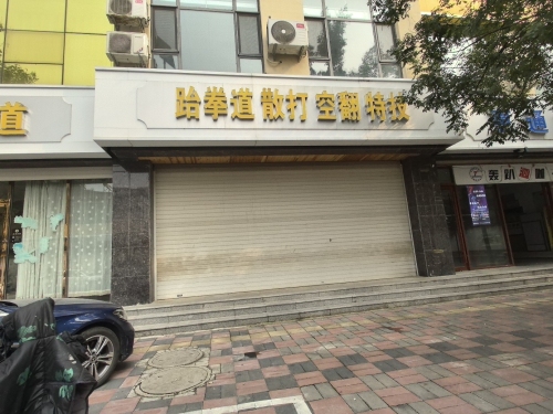 跆拳道散打空翻特技