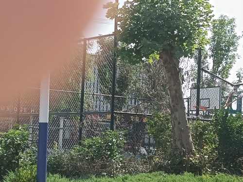 张掖一村篮球场