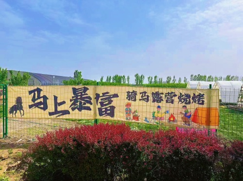 马上暴富露营地服务店