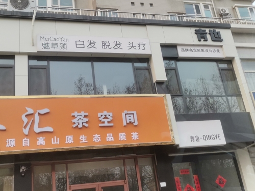 青也·QINGYE