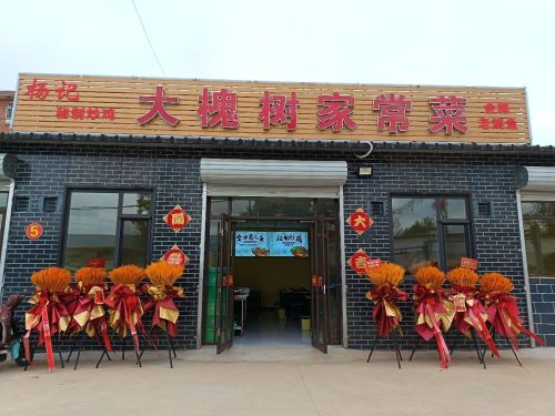 杨记大槐树家常菜
