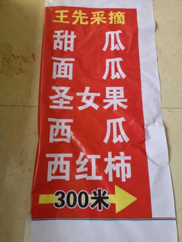 王先村采摘