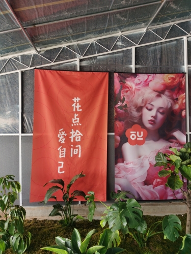 花点拾间