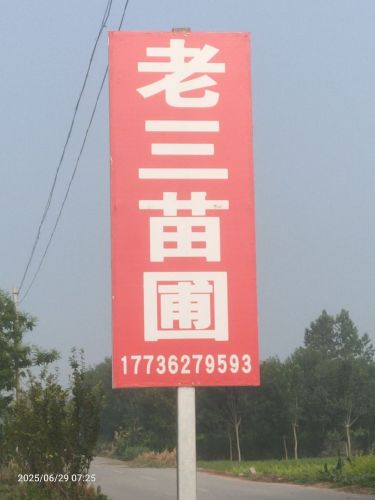 定州沐泽园林