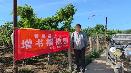 赞皇县上庄增书樱桃园