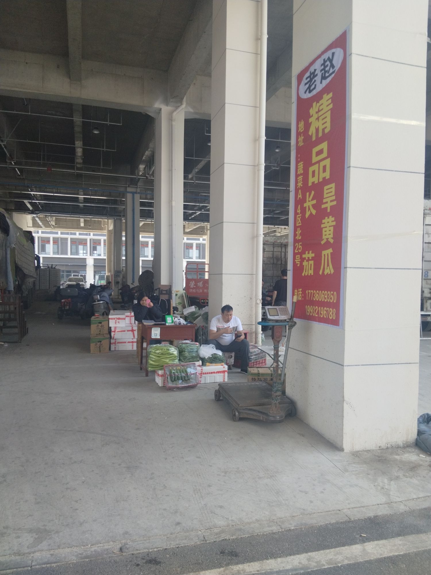 老赵精品长茄