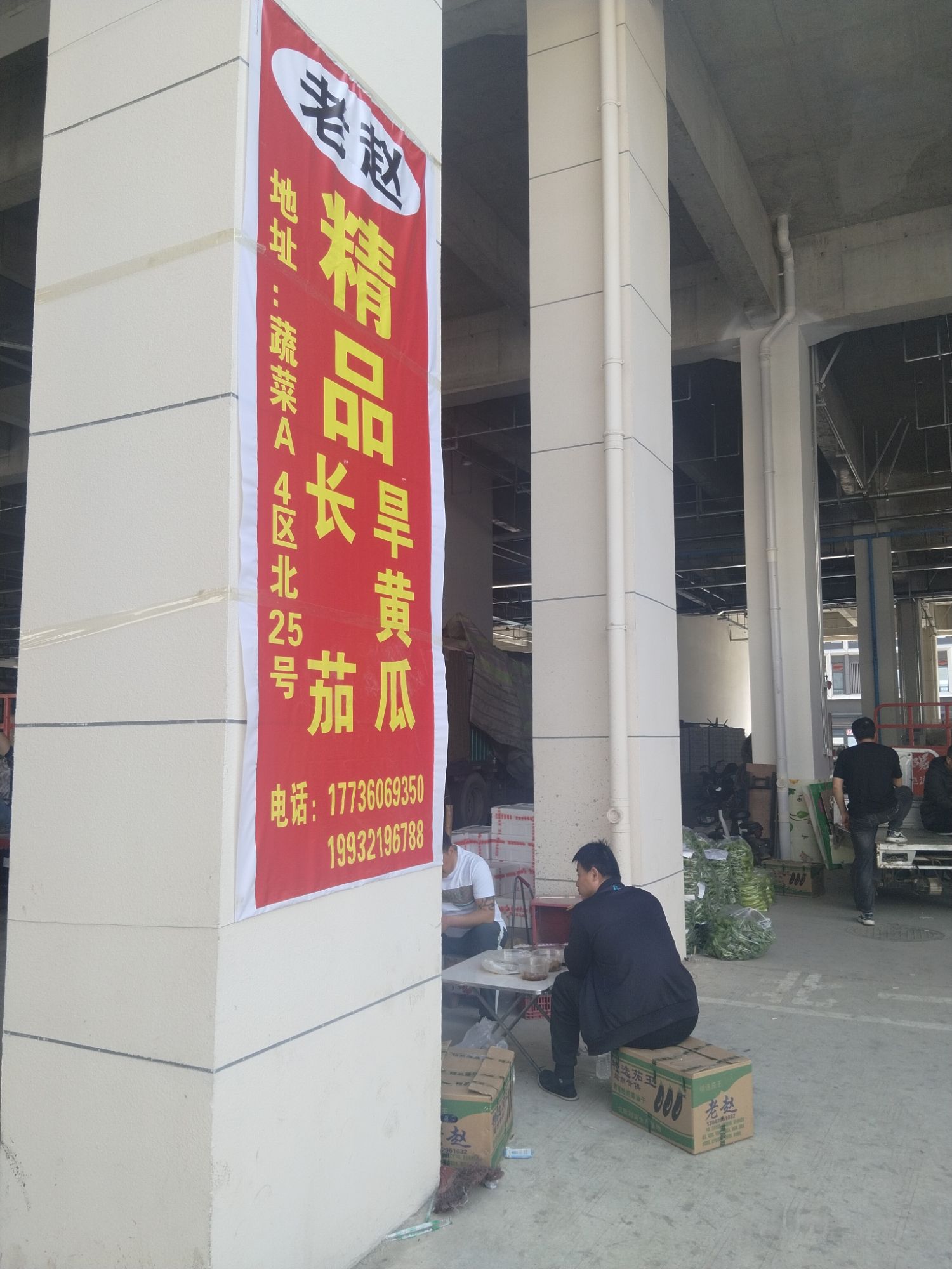 老赵精品长茄