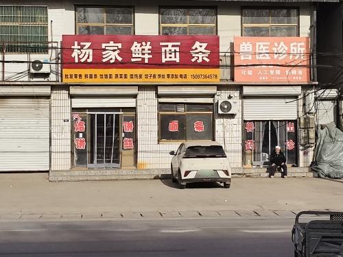 杨家鲜面条
