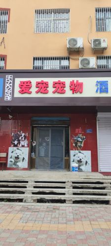 爱宠宠物