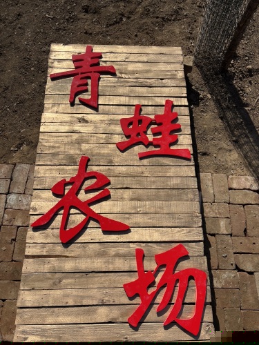 青蛙农场