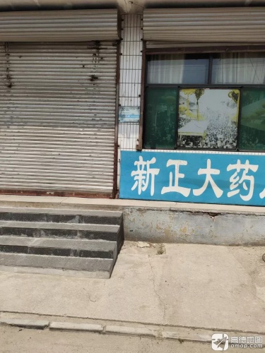 新正大药房(东平乐店)