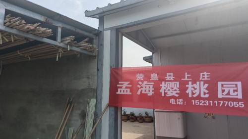 赞皇县上庄孟海樱桃园(一园)