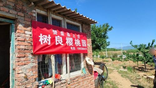 赞皇县上庄树良樱桃园