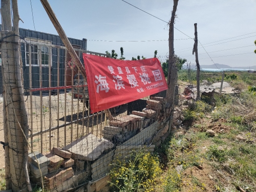 赞皇县下庄海滨樱桃园