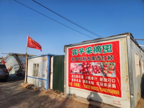 宾子采摘园