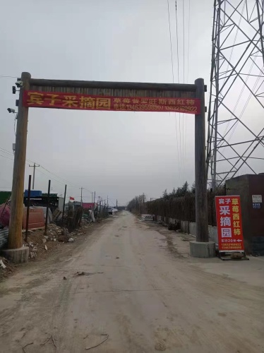 宾子采摘园