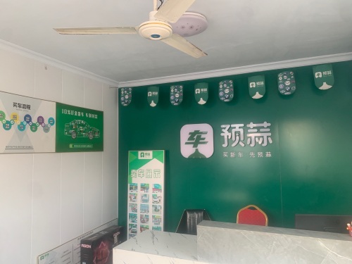 预蒜汽车