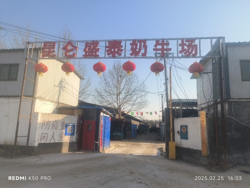 元氏县昆仑盛泰奶牛养殖场