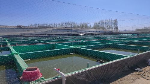 浩森观赏鱼养殖场