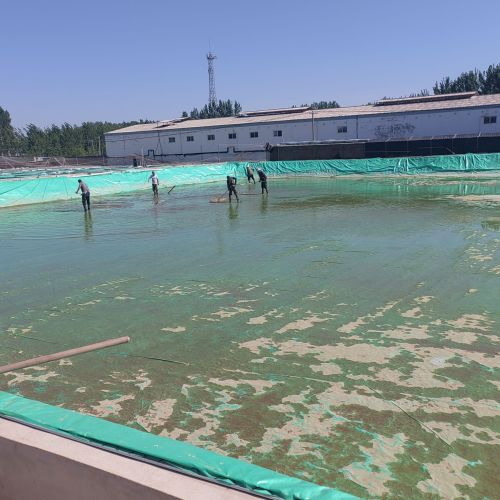 浩森观赏鱼养殖场