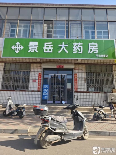 景岳大药房