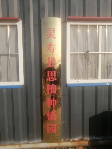 灵寿县思檀种植园