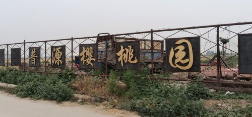 普源樱桃采摘园