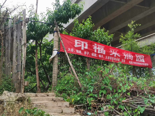 印福采摘园