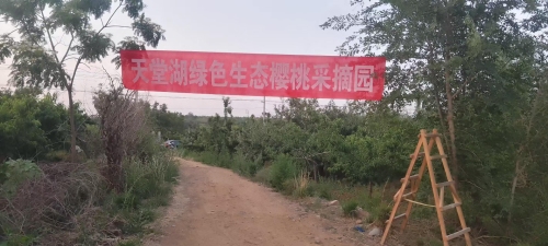 天堂湖绿色生态樱桃采摘园