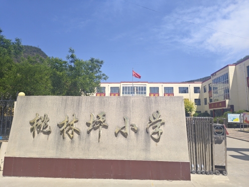 桃林坪小学