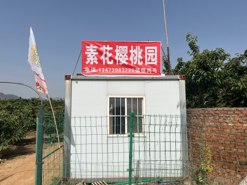 素花樱桃园