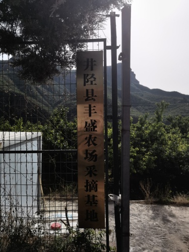井陉丰盛农场采摘基地
