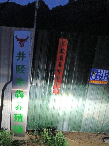 井陉牛犇养殖场