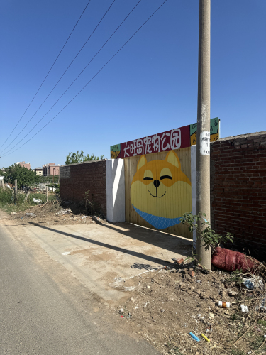 犬旺岛宠物公园