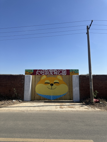 犬旺岛宠物公园