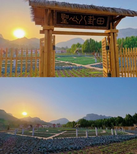 融道圣心八卦田