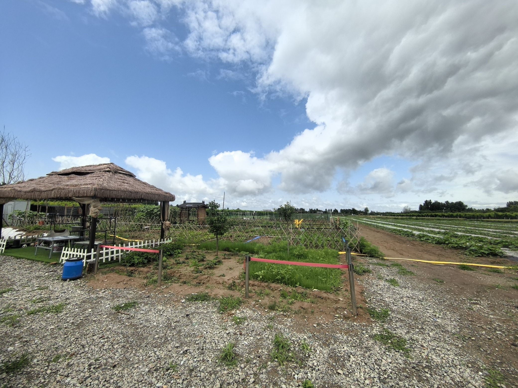 萌蔬悠田农场
