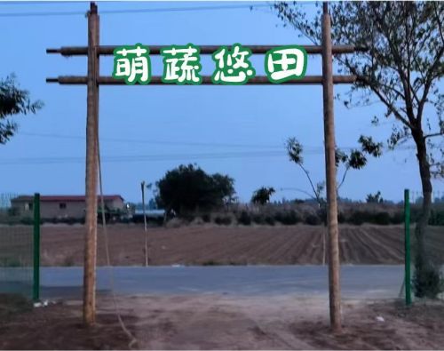 萌蔬悠田农场