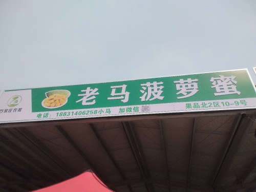 老马菠萝蜜